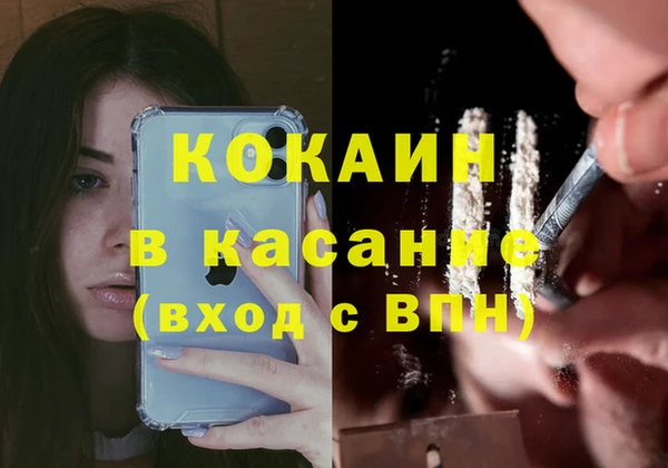 гидра Пестово