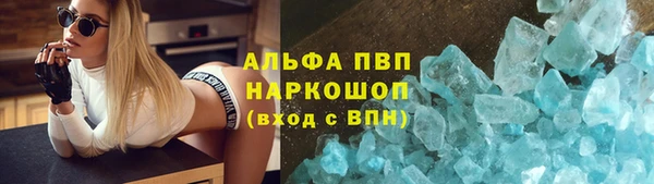гидра Пестово
