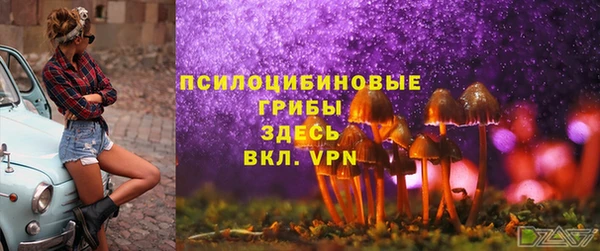 прущий лед Пересвет