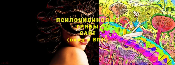 спиды Ветлуга