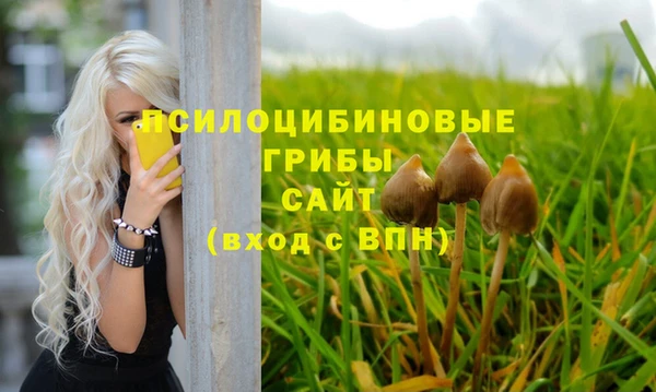гидра Пестово