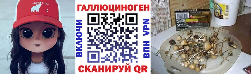 Псилоцибиновые грибы Cubensis  ссылка на мегу ССЫЛКА  Бугуруслан 