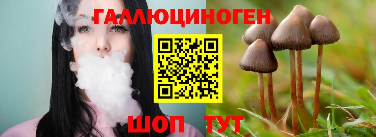 наркотики  Галлюциногенные грибы Psilocybe  Вход с VPN  Бугуруслан 